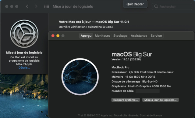 macOS Big Sur 11.0.1 (20B29) Finale version Captu408