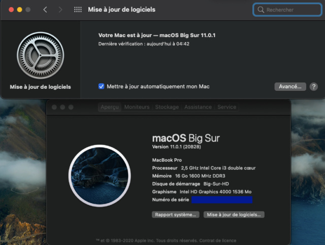 macOS Big Sur 11.0.1 (20B29) Finale version Captu409