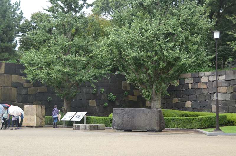 TOKYO J3 / Jardin du Palais Impérial Dsc_1624