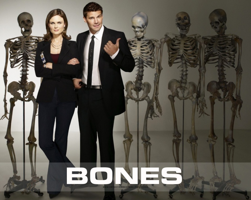 Cyndy Laupers en voyante dans Bones Bones10