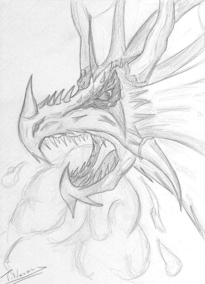 Ma Gallerie de Dessins. Dragon12