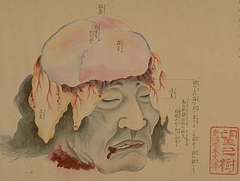 Les rouleaux d'anatomie Kaibo Zonshinzu peint en 1819 Vincen10
