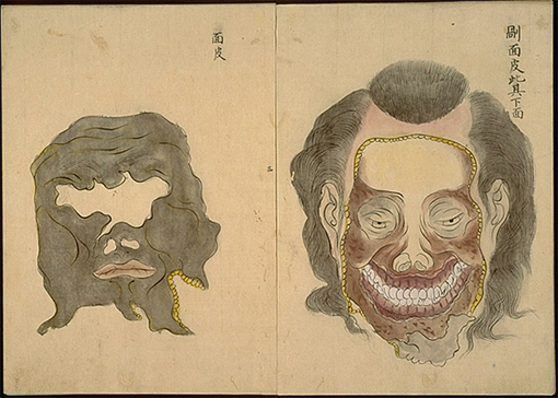 Les rouleaux d'anatomie Kaibo Zonshinzu peint en 1819 Zgggez10