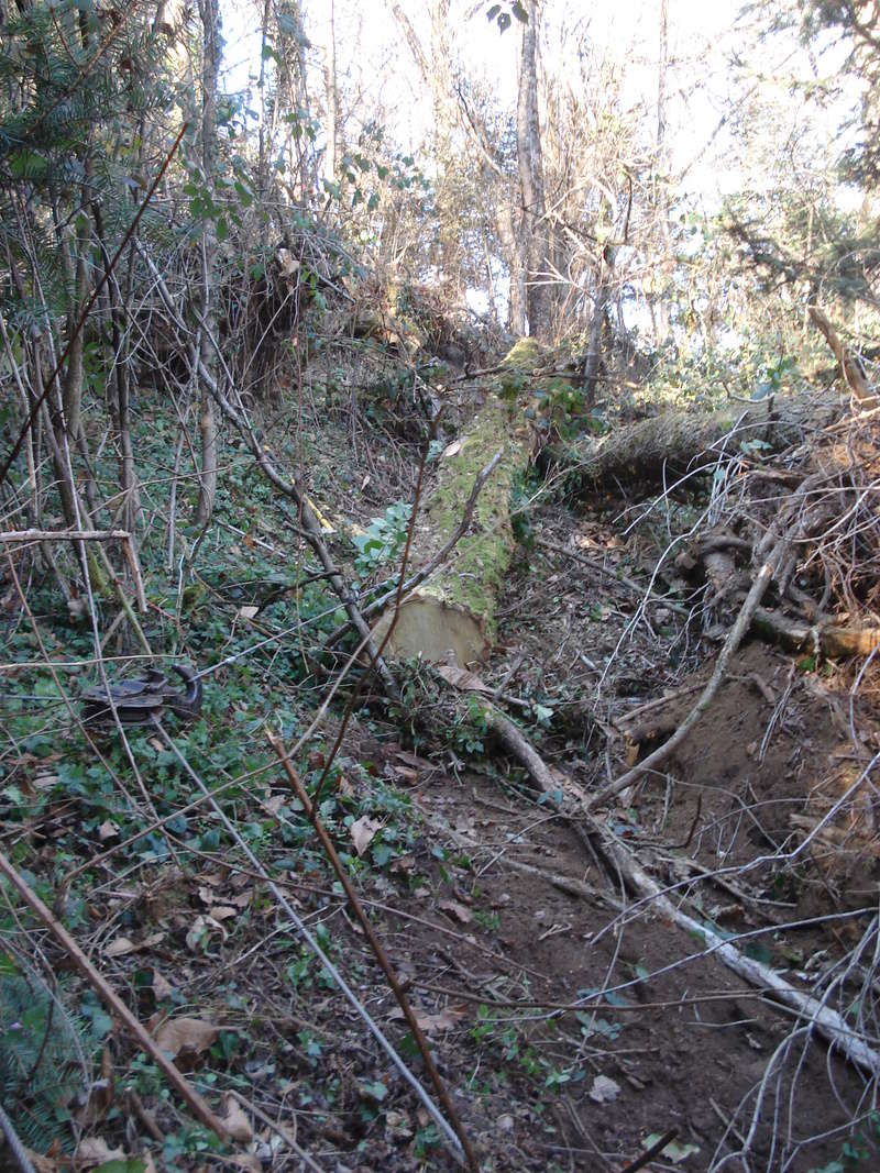 411 Grue et treuil - Page 6 Dsc02016