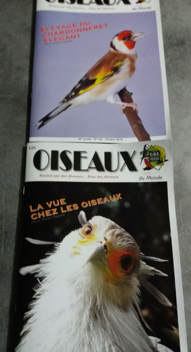 article revue les oiseaux du monde UOF - Page 2 20161120