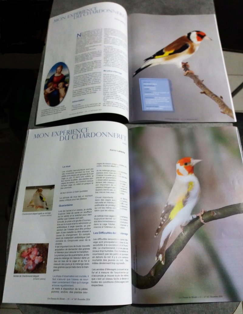 article revue les oiseaux du monde UOF - Page 2 20161121