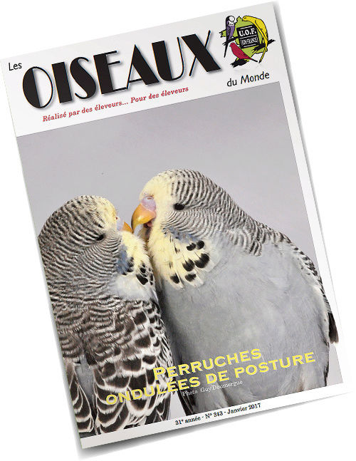 article revue les oiseaux du monde UOF Odm-n311