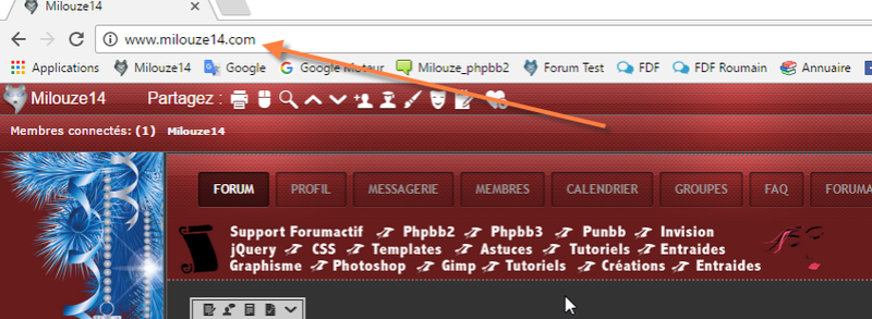 Nom de domaine non prit en compte avec Firefox Chrome10
