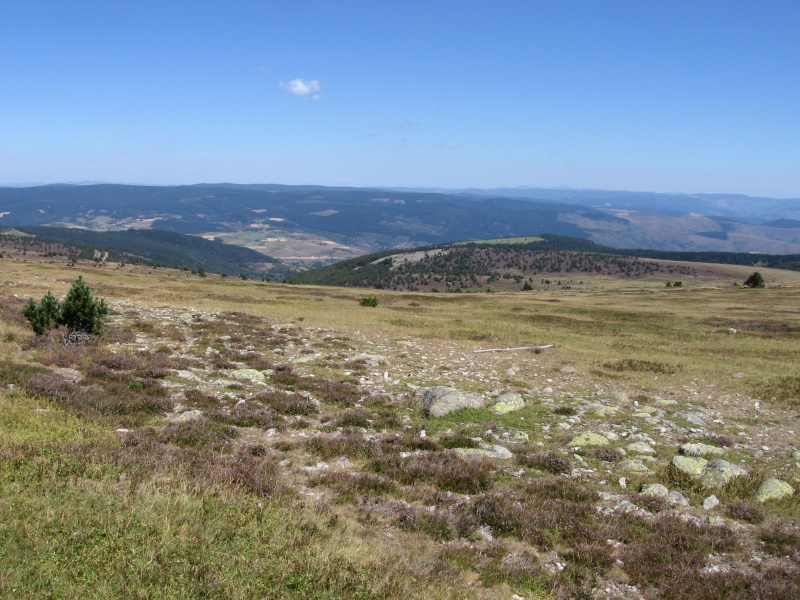 Maintenant, les Cévennes ! (30 et 48) Cavenn20