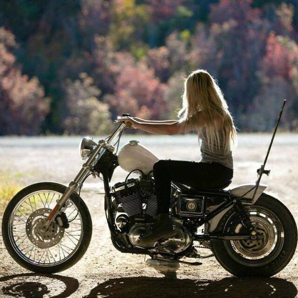 Babes & Bikes - Page 2 15672810