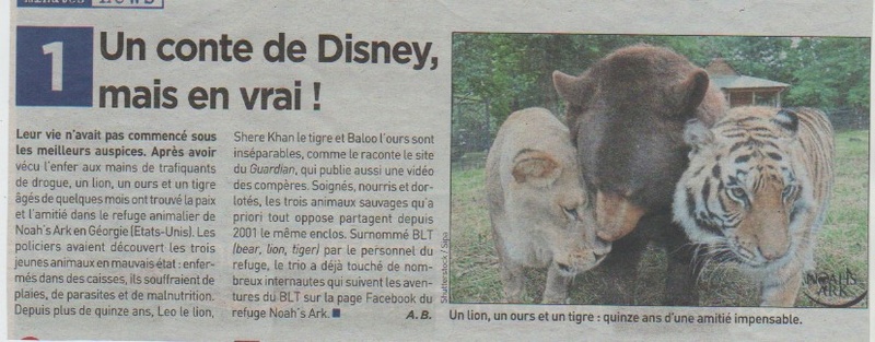 l'OURS dans la presse et les journaux - Page 14 Thumbn12