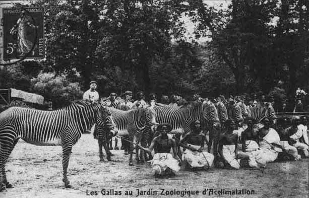 Expositions Coloniales et Universelles - Page 9 Zoos-h10