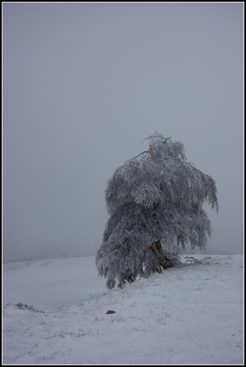 un peu de neige Dsc_0112