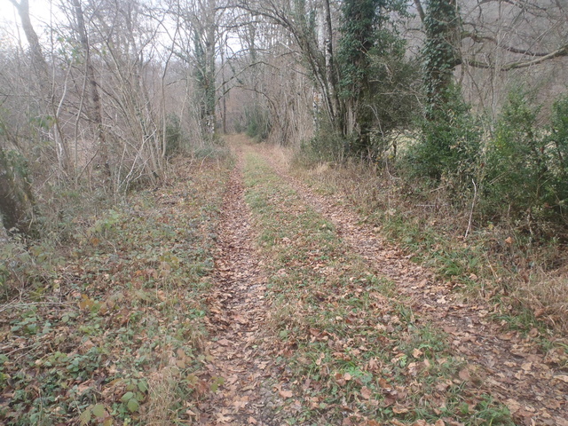 ruisseaux en décembre Pc120033