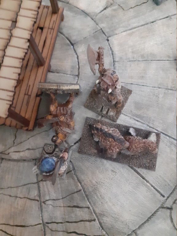 Frostgrave Récupération de Parchemins 20200193