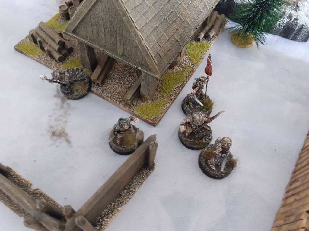 [RC] Frostgrave suite 20200926