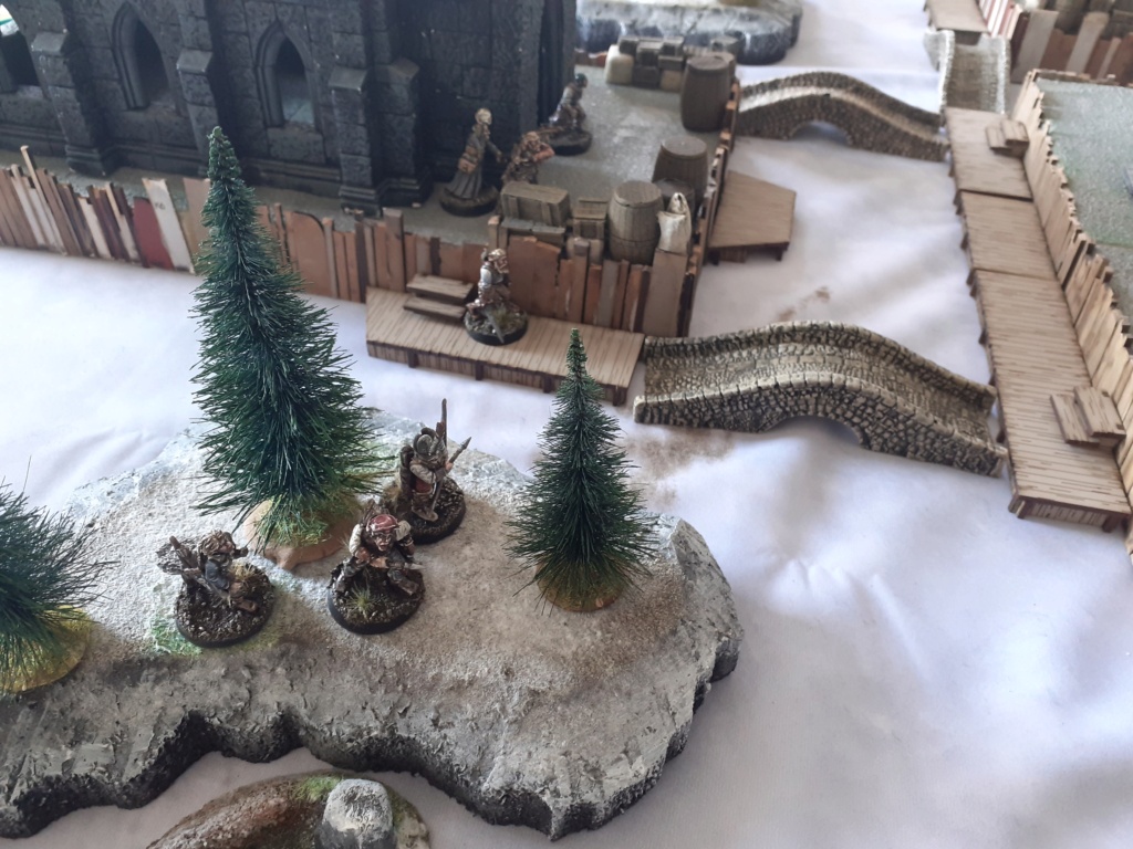 [RC] Frostgrave suite 20200960