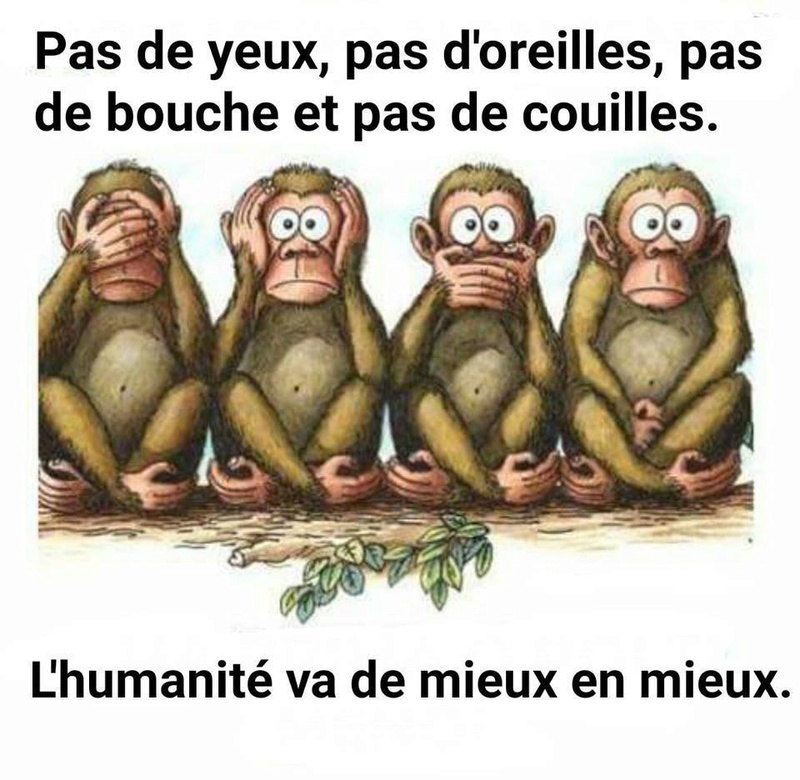 humour - Page 16 15350511