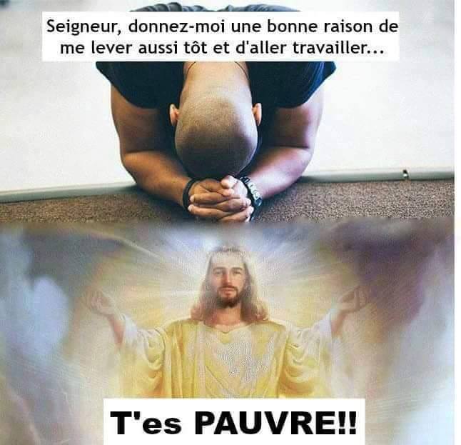humour - Page 17 15350512