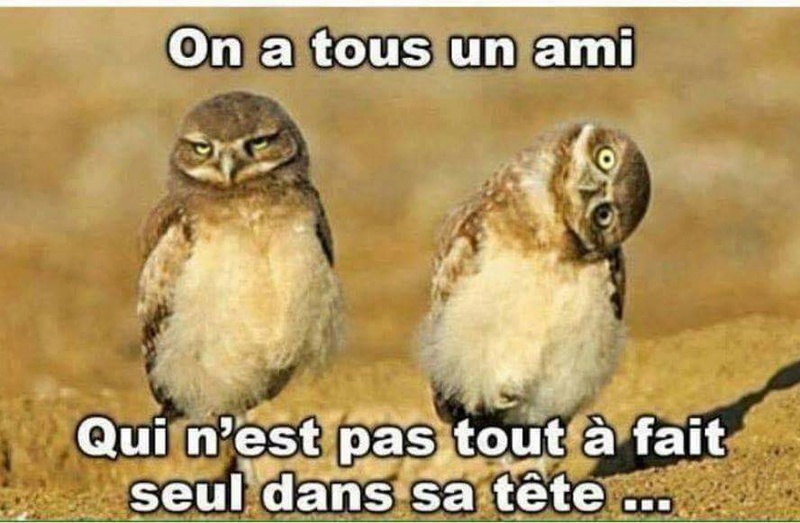 humour - Page 28 15826611
