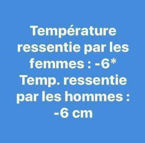 humour - Page 6 16142710