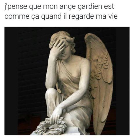 humour - Page 14 16387210