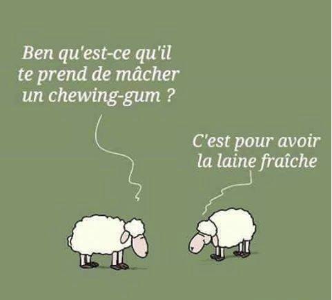 humour - Page 17 16473410
