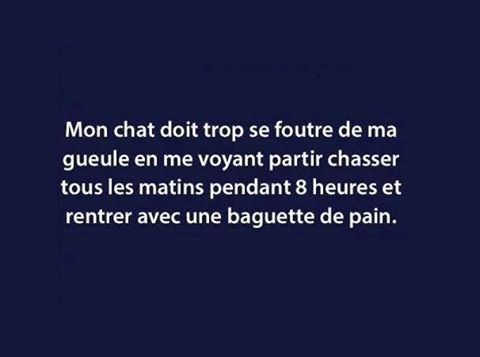 humour - Page 19 16508810