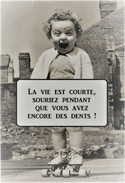 humour - Page 21 16665015