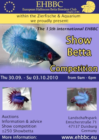 15th Int. EHBBC Showbetta Competition, 30.9.-3.10. Duisburg Duisbu15