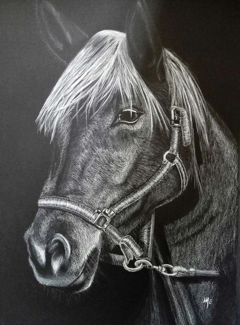 [Pastel posca] Cheval sur fond noir Img_2023