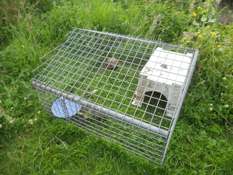 Enclos de ma mèmère ! Cage_g10