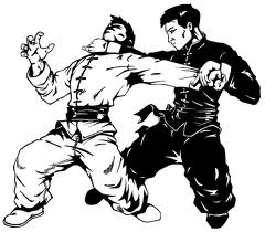 Kung Fu : Arts Martiaux Chinois Images19