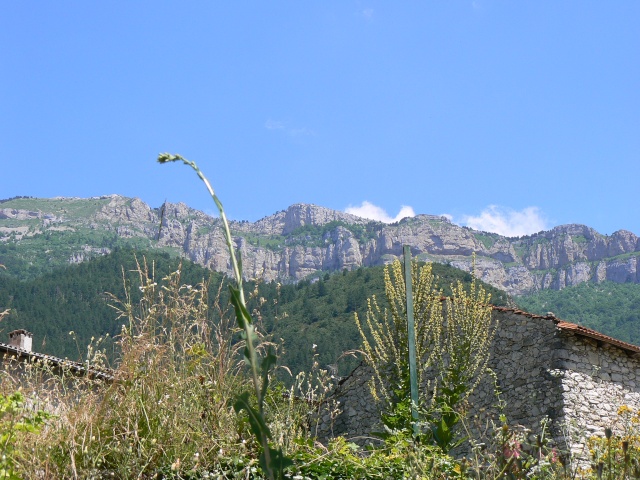 Quelques photos de la Drôme P1080613