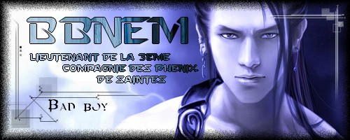 Bannire et Avatar assortit Bbnem11