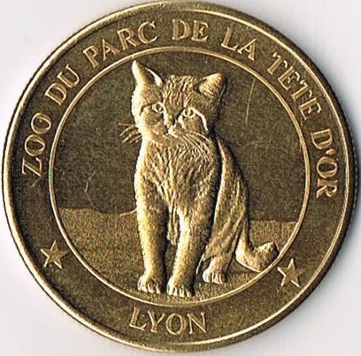 Lyon (69000) Chatde10