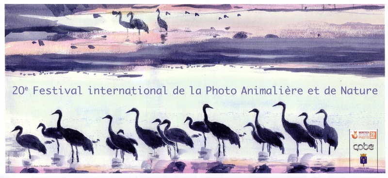 20ème festival photo animalière et nature MONTIER en DER. Montie23