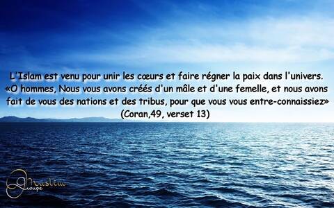 Citation Citation