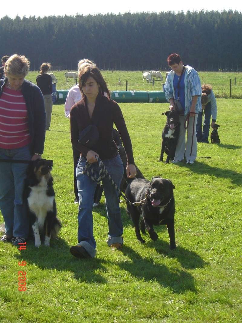 journée d'inauguration de notre nouveau club canin 03610