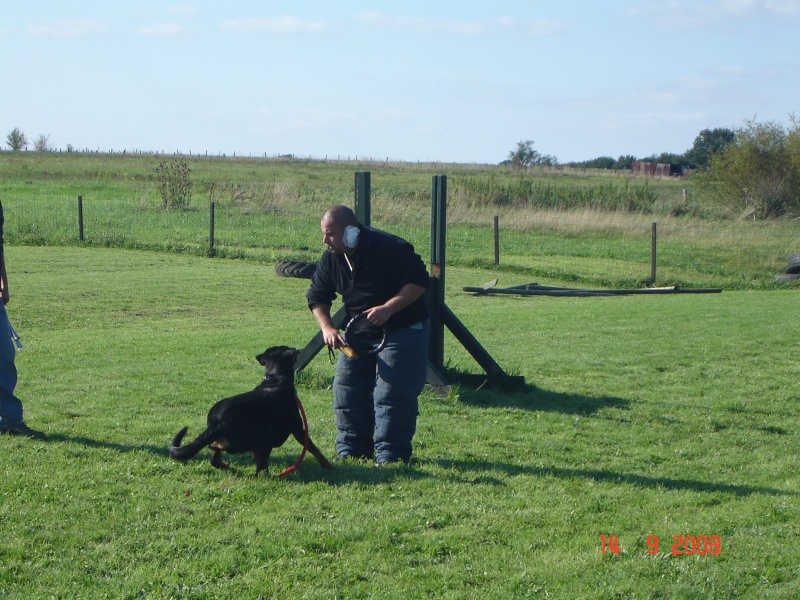 journée d'inauguration de notre nouveau club canin 05410