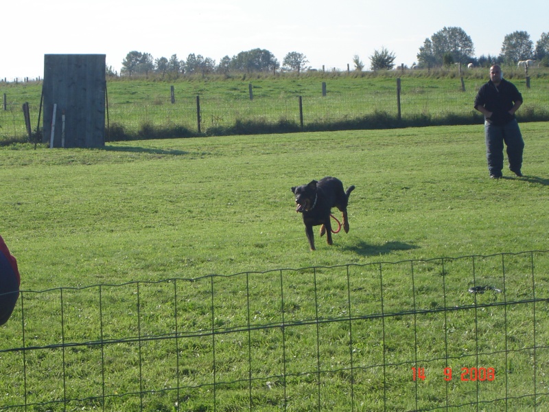 journée d'inauguration de notre nouveau club canin 05710