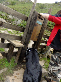 Out n' About in the lakes Dscf9711