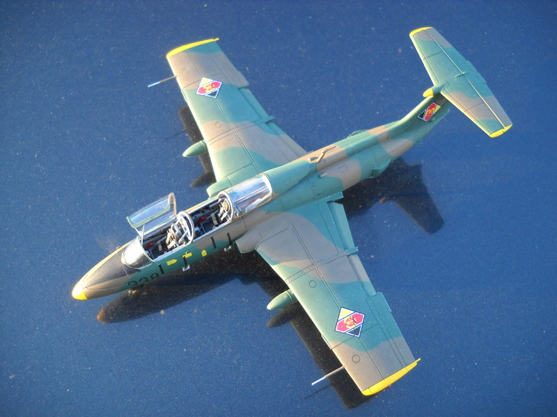 Aero L-29 Delfin, AMK, 1/72. Dscn5130
