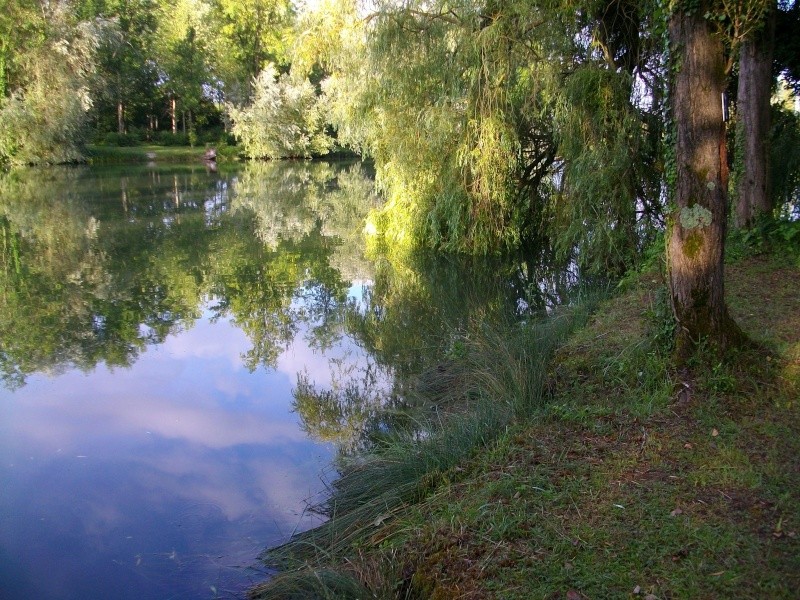 a la découverte d'un new plan d'eau avec le collègue !!!  Imgp5416