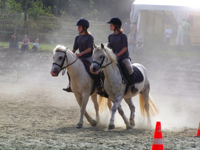 Concours ICS-NL dans les ardennes le 19 septembre Concou48