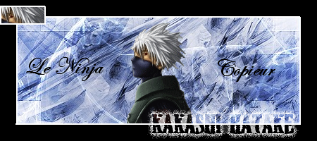 Signature demande par Kakashi Hatake Sign_k10