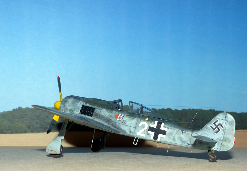 [Eduard] FW 190 A-8 - Julius Händel IV./JG54 Pologne Août 1944 P1010117