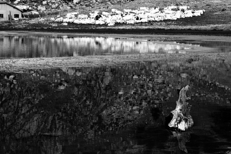 Séjour dans le mercantour Lac_de12