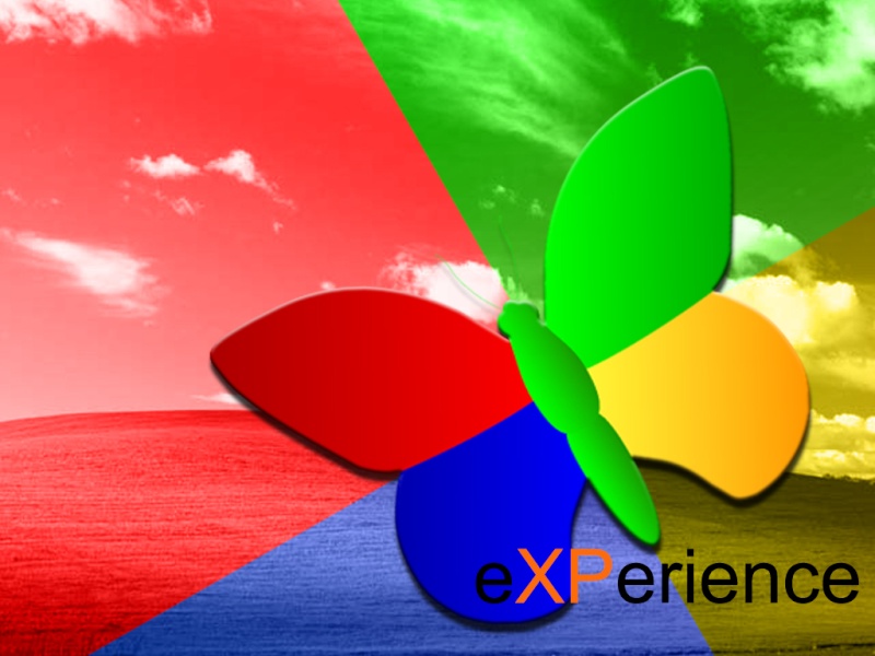 1 -  XP   Experi10