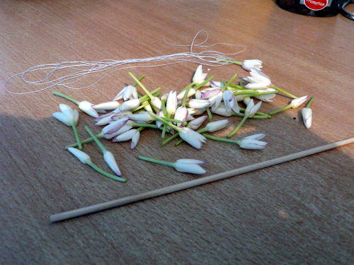 Comment faire un bouquet de jasmin...Etape par étape par moi même 0410